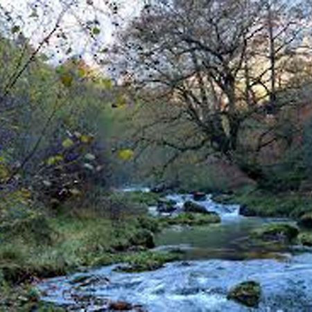 Apartamento Jardines Del Sella Apartment Cangas de Onis Ngoại thất bức ảnh